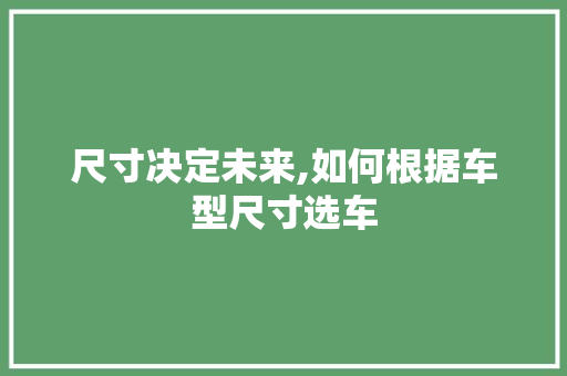 尺寸决定未来,如何根据车型尺寸选车
