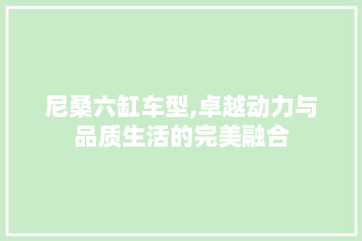 尼桑六缸车型,卓越动力与品质生活的完美融合