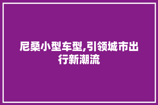 尼桑小型车型,引领城市出行新潮流