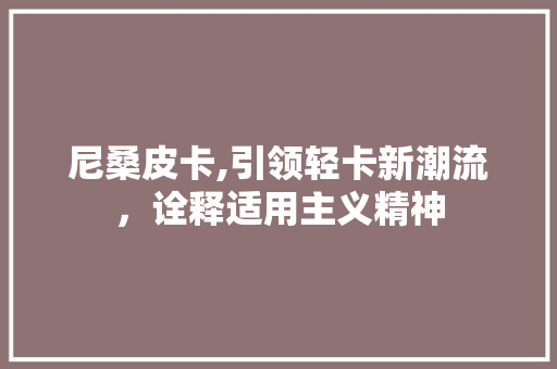 尼桑皮卡,引领轻卡新潮流，诠释适用主义精神