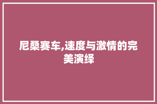 尼桑赛车,速度与激情的完美演绎