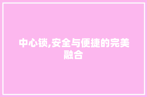 中心锁,安全与便捷的完美融合