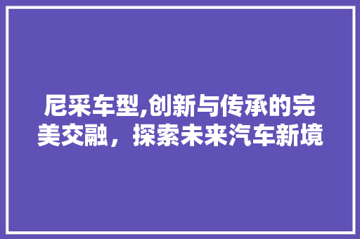 尼采车型,创新与传承的完美交融，探索未来汽车新境界