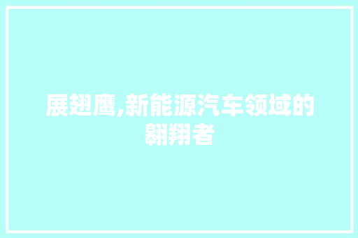 展翅鹰,新能源汽车领域的翱翔者