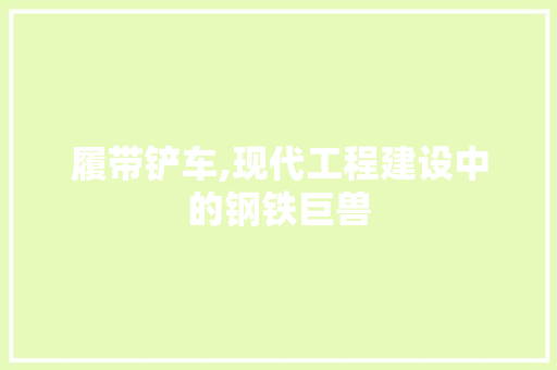 履带铲车,现代工程建设中的钢铁巨兽 新能源汽车