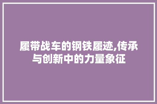 履带战车的钢铁履迹,传承与创新中的力量象征