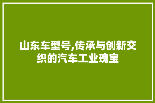 山东车型号,传承与创新交织的汽车工业瑰宝