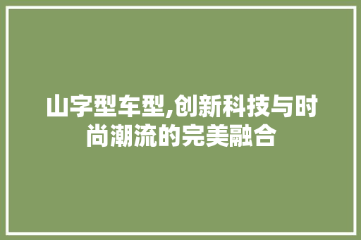 山字型车型,创新科技与时尚潮流的完美融合