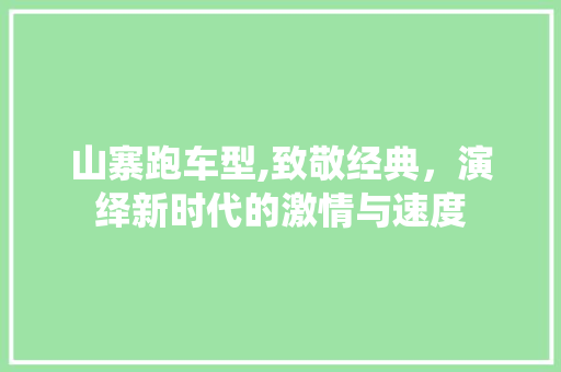 山寨跑车型,致敬经典，演绎新时代的激情与速度
