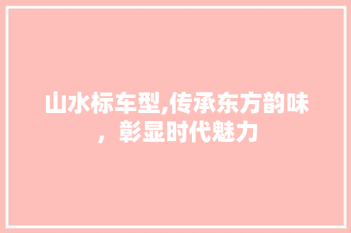 山水标车型,传承东方韵味，彰显时代魅力