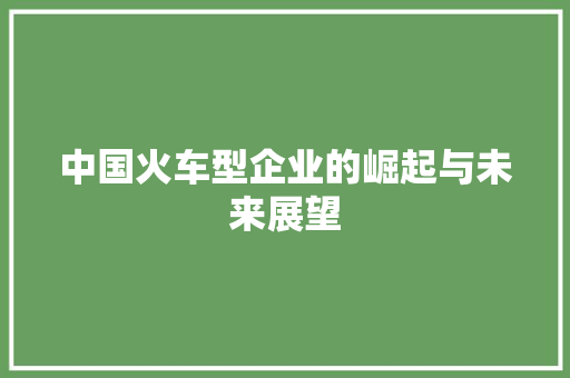 中国火车型企业的崛起与未来展望