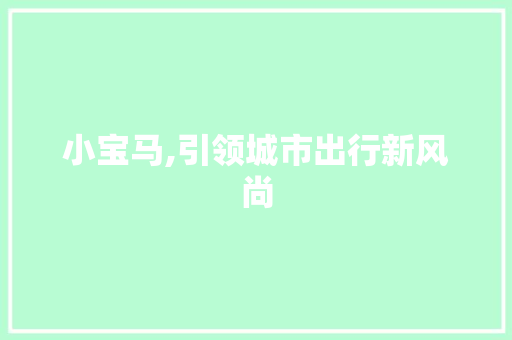 小宝马,引领城市出行新风尚