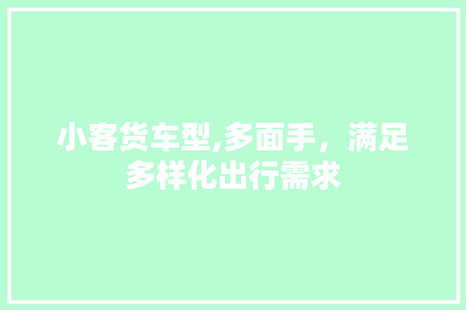 小客货车型,多面手，满足多样化出行需求