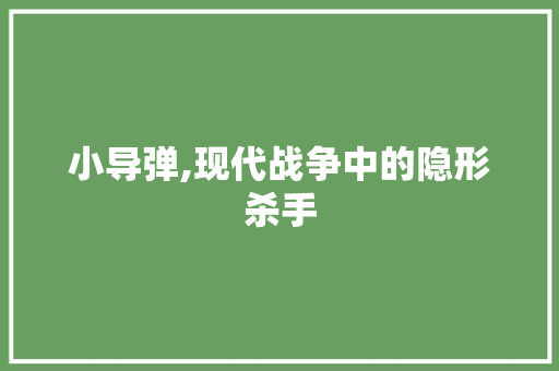 小导弹,现代战争中的隐形杀手