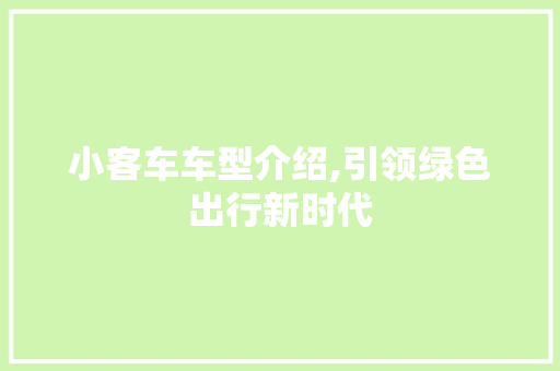 小客车车型介绍,引领绿色出行新时代