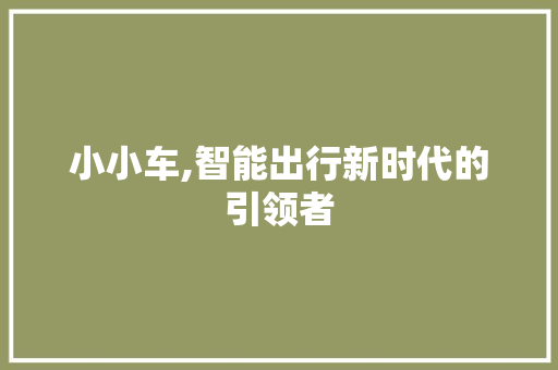 小小车,智能出行新时代的引领者