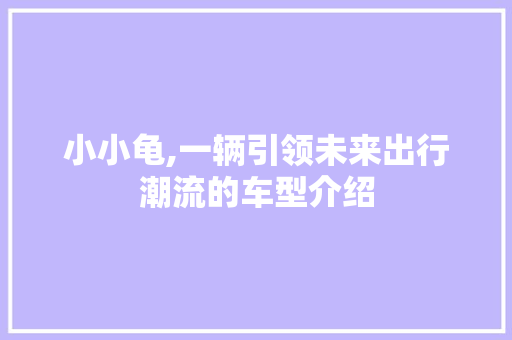 小小龟,一辆引领未来出行潮流的车型介绍