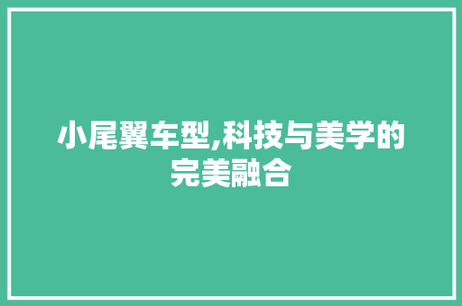 小尾翼车型,科技与美学的完美融合