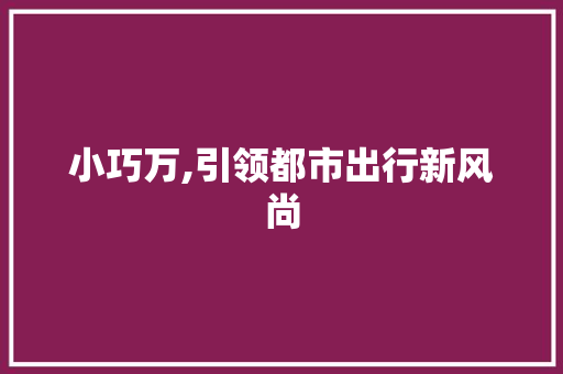 小巧万,引领都市出行新风尚 车身配件