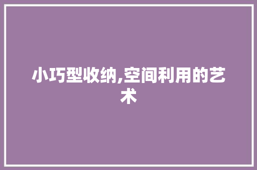 小巧型收纳,空间利用的艺术