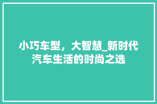 小巧车型，大智慧_新时代汽车生活的时尚之选