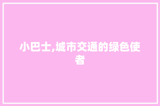 小巴士,城市交通的绿色使者