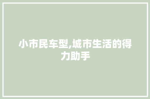 小市民车型,城市生活的得力助手