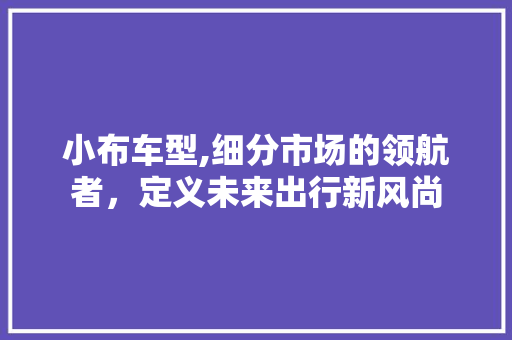 小布车型,细分市场的领航者，定义未来出行新风尚