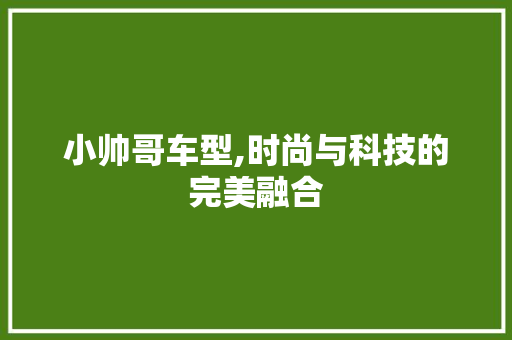 小帅哥车型,时尚与科技的完美融合