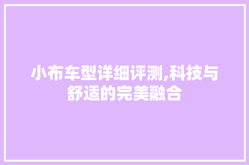 小布车型详细评测,科技与舒适的完美融合