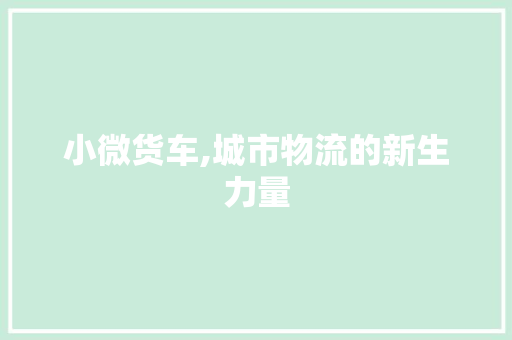 小微货车,城市物流的新生力量 车身配件
