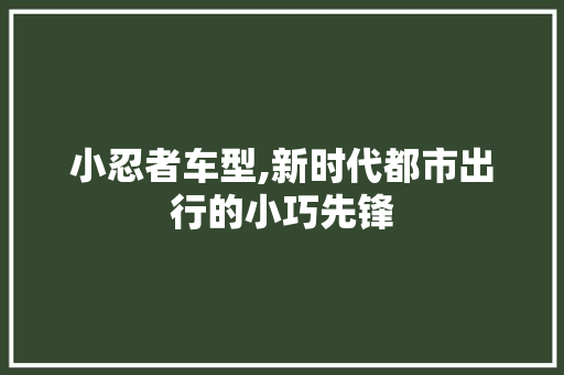 小忍者车型,新时代都市出行的小巧先锋