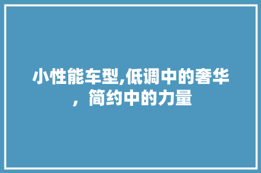 小性能车型,低调中的奢华，简约中的力量