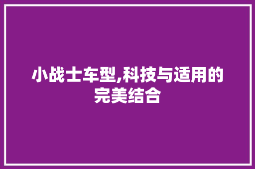 小战士车型,科技与适用的完美结合