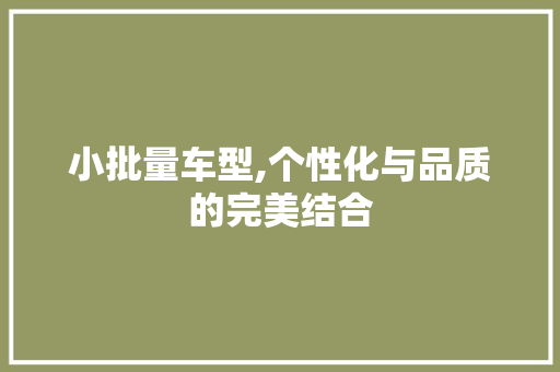 小批量车型,个性化与品质的完美结合