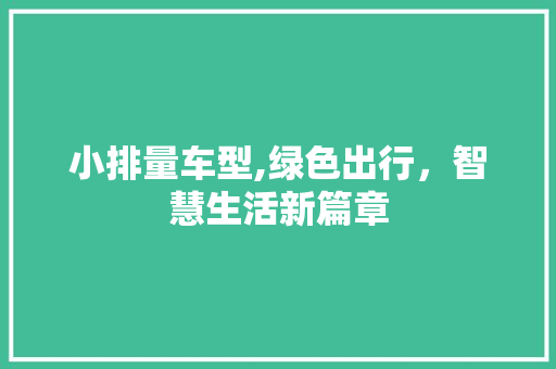 小排量车型,绿色出行，智慧生活新篇章