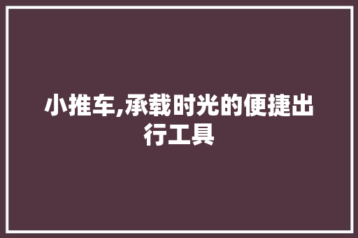 小推车,承载时光的便捷出行工具
