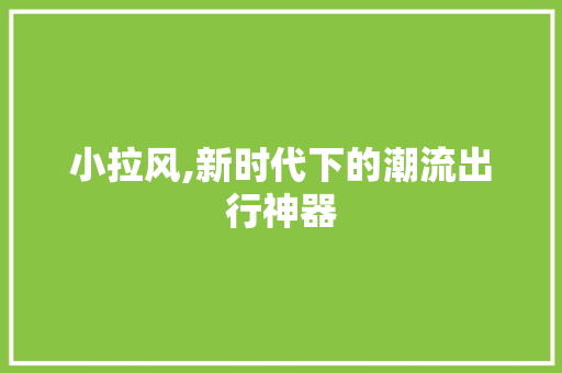 小拉风,新时代下的潮流出行神器