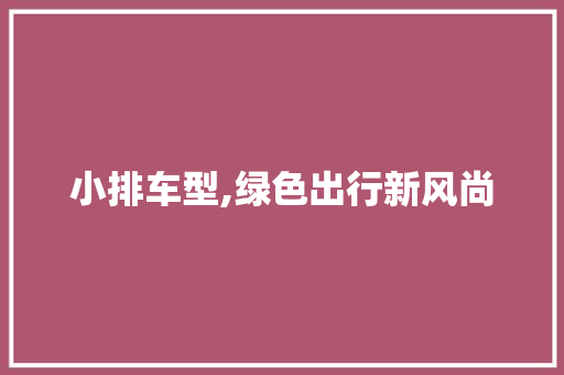 小排车型,绿色出行新风尚