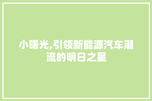 小曙光,引领新能源汽车潮流的明日之星