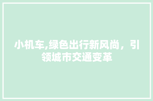 小机车,绿色出行新风尚，引领城市交通变革