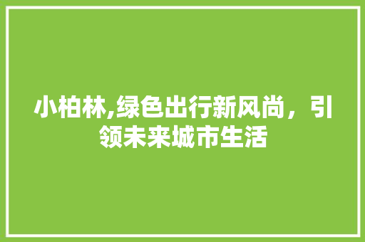 小柏林,绿色出行新风尚，引领未来城市生活