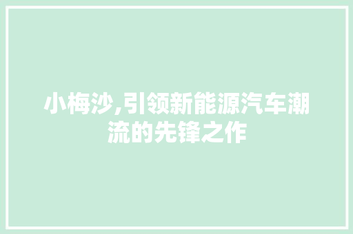 小梅沙,引领新能源汽车潮流的先锋之作 发动机配件