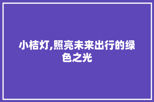 小桔灯,照亮未来出行的绿色之光 汽车配件