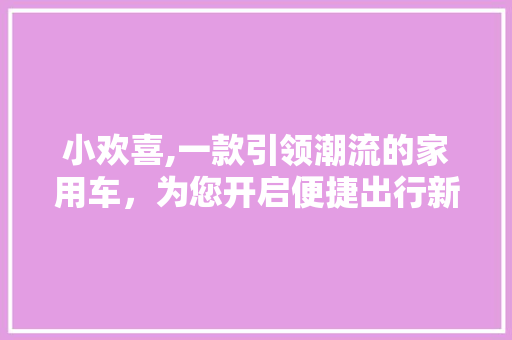小欢喜,一款引领潮流的家用车，为您开启便捷出行新篇章