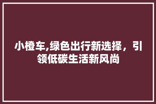 小橙车,绿色出行新选择，引领低碳生活新风尚