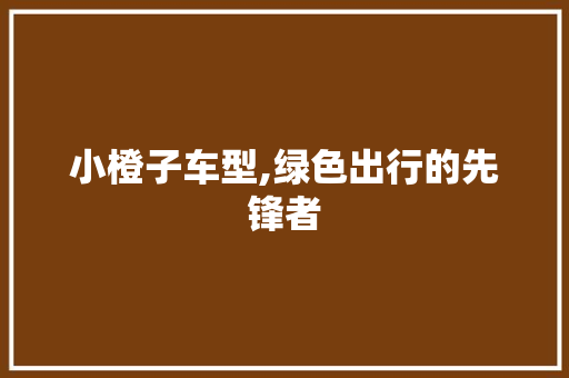 小橙子车型,绿色出行的先锋者