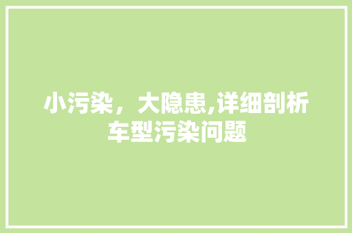 小污染，大隐患,详细剖析车型污染问题