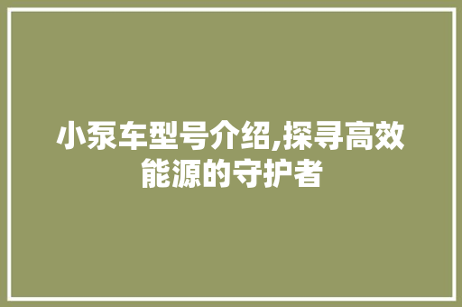 小泵车型号介绍,探寻高效能源的守护者