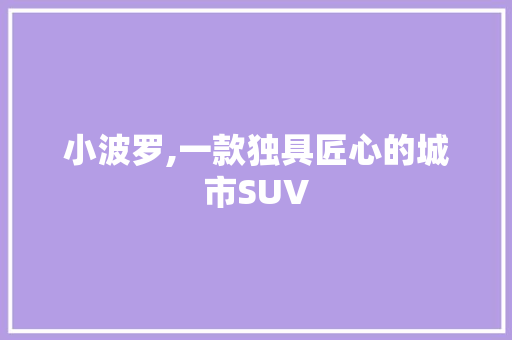 小波罗,一款独具匠心的城市SUV